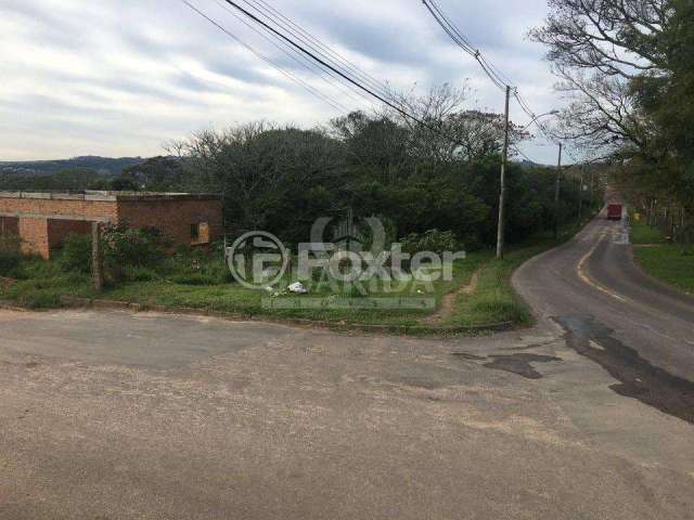 Terreno à venda na Estrada Cristiano Kraemer, 3035, Vila Nova, Porto Alegre, 329 m2 por R$ 160.000