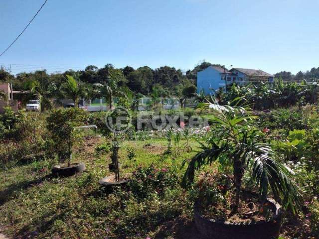 Fazenda com 1 sala à venda na Beco Calábria, 281, Restinga, Porto Alegre, 5750 m2 por R$ 1.060.000