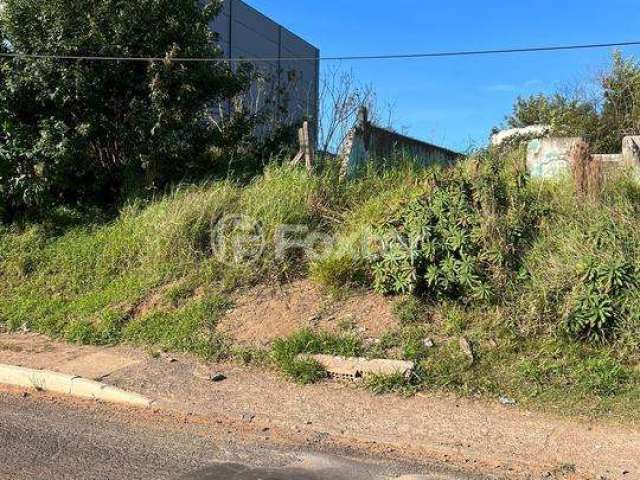 Terreno à venda na Avenida Manoel Elias, 1096, Jardim Leopoldina, Porto Alegre, 350 m2 por R$ 550.000