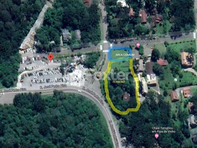 Terreno comercial à venda na Rua José Pedro Piva, S/N, Bosque Sinoserra, Canela, 2264 m2 por R$ 3.000.000