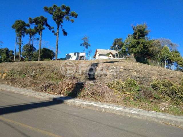 Terreno à venda na Rua Ruy Barbosa, S/N, Maggi, Canela, 2140 m2 por R$ 1.915.000