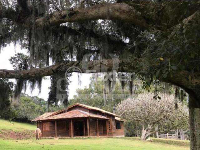 Fazenda à venda na Rodovia Frei Pacífico, S/N, Itapuã, Viamão, 45000 m2 por R$ 600.000