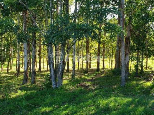 Fazenda à venda na Estrada Morrinhos, 1530, Centro, Butiá, 96000 m2 por R$ 450.000