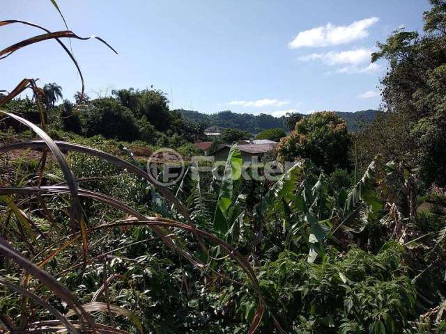 Terreno à venda na Rua Vo Olinda, 47, Bela Vista, Salvador do Sul, 730 m2 por R$ 800.400