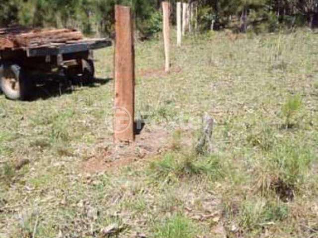 Terreno à venda na Rua da Fronteira, S/N, Parque Eldorado, Eldorado do Sul, 2428 m2 por R$ 60.000