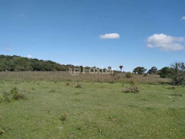 Terreno à venda na Estrada Do Cemitério, 900, Águas Claras, Viamão, 69756 m2 por R$ 1.116.100