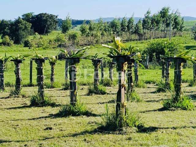 Fazenda com 2 salas à venda na Estrada João Lopes, 2790, Rincão São João, Glorinha, 70000 m2 por R$ 481.500