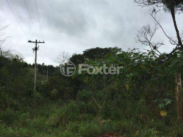 Terreno comercial à venda na Estrada do Rincão, 2820, Belém Velho, Porto Alegre, 32500 m2 por R$ 650.000