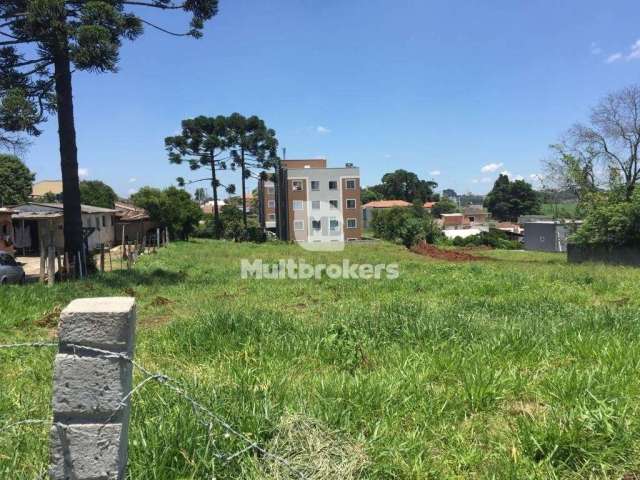 Terreno à venda na Rua Vicente Calderari, 258, Thomaz Coelho, Araucária por R$ 2.650.000