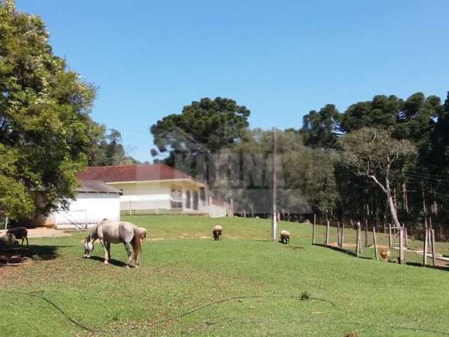 Fazenda 150 alqueires a venda em castro