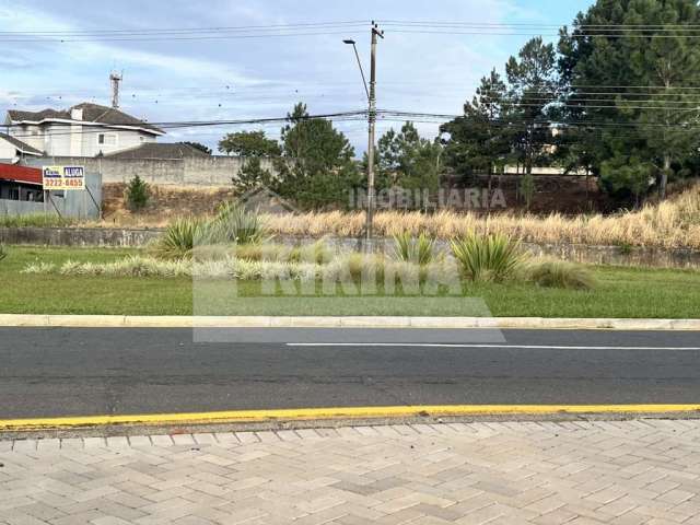 Terreno para locação no jardim carvalho