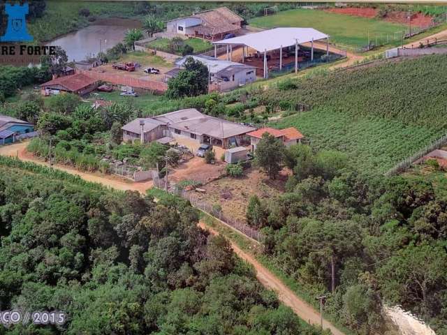 Área para Loteamento para Venda em Fazenda Rio Grande, Eucaliptos