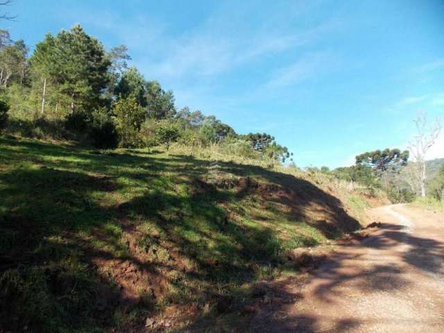 TERRENO COM 10 MIL METROS  A 4 KM DO CENTRO DE GRA, Linha Ávila Alta, Gramado - RS