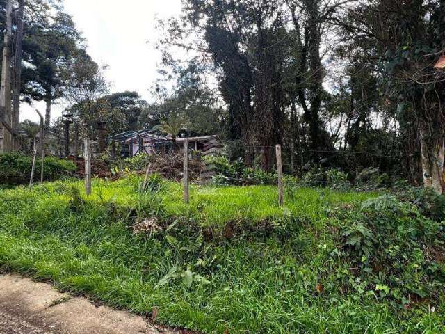 TERRENO PARA INVESTIMENTO, São Jose, Canela - RS