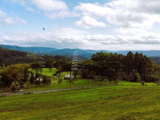 TERRENOS EM  ÁREA RURAL COM 4.636,56 M² ., Linha Ávila Baixa, Gramado - RS