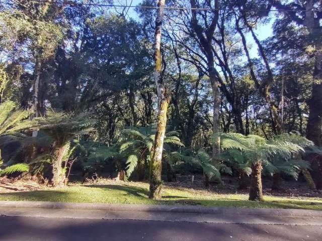 TERRENO NO CONDOMÍNIO O BOSQUE , Mato Queimado, Gramado - RS