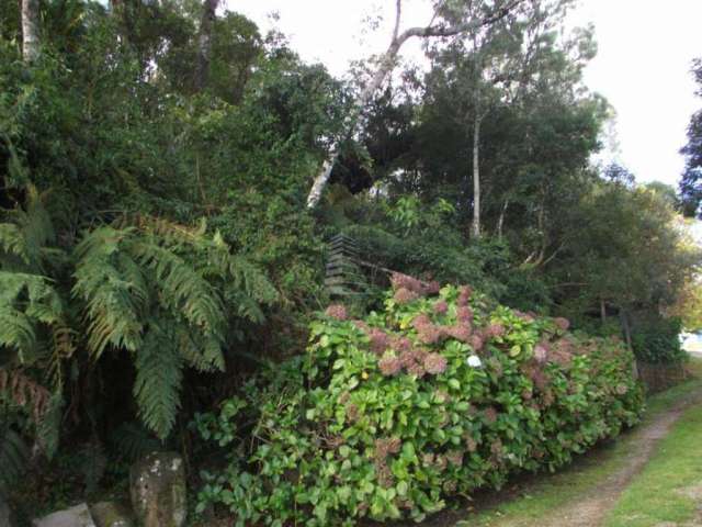 TERRENO EM GRAMADO ENTRADA 50% E SALDO EM 15 MESES, Mato Queimado, Gramado - RS