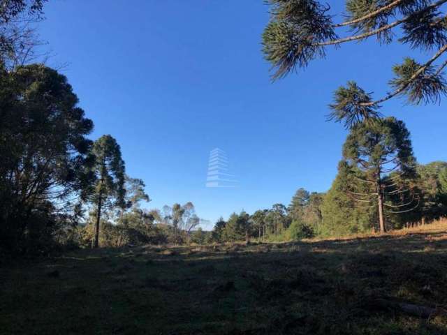 LINDA ÁREA NA LINHA 15, Linha 15 de Novembro, Gramado - RS