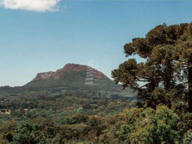 TERRENO COM VISTA PARA O VALE EM GRAMADO, Várzea Grande, Gramado - RS