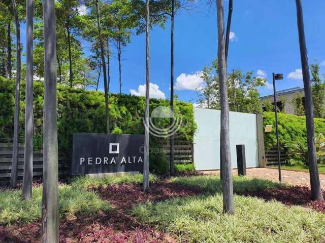 Terreno à venda, 1644 m² por R$ 700.000,00 - Loteamento Residencial Pedra Alta (Sousas) - Campinas/SP