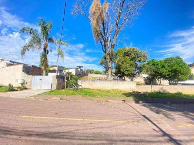 Terreno Residencial à venda, Vila Rosa, Piraquara - TE0032.