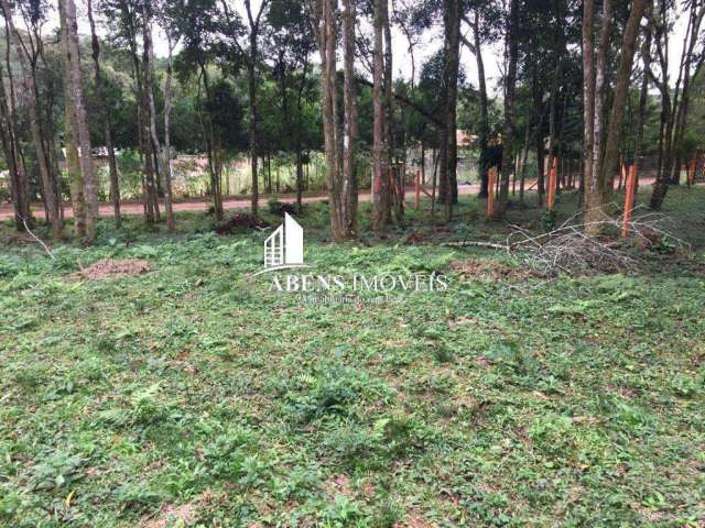 Terreno para Venda em Piraquara, Colônia Santa Maria, 10 vagas