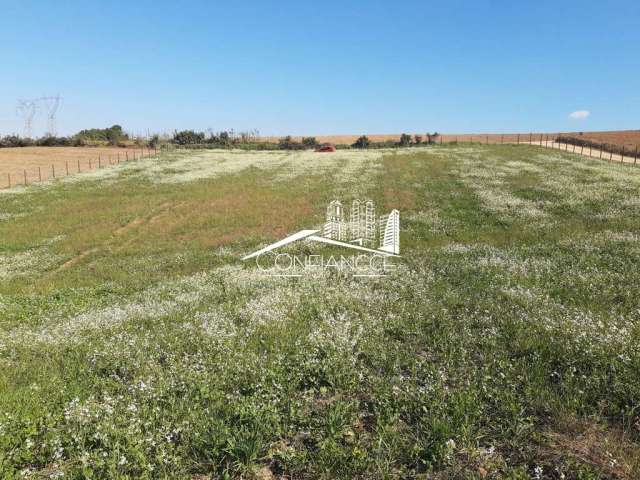 Terreno à venda na Avenida João Franco, 400, Centro, Contenda, 6180 m2 por R$ 400.000