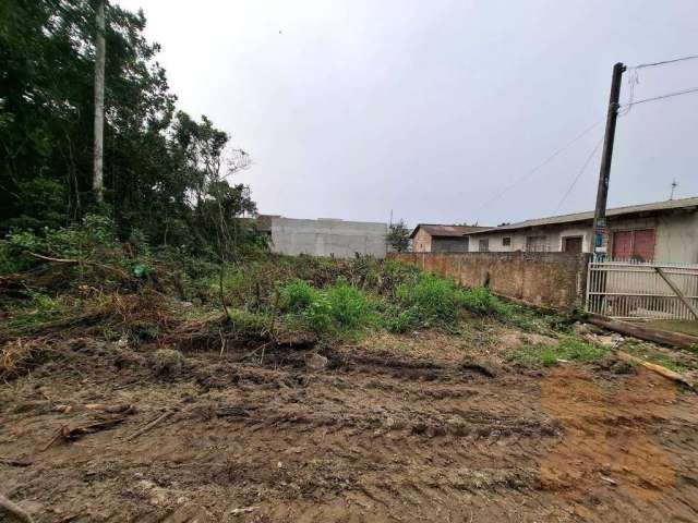 Terreno à venda, 325 m² por R$ 140.000,00 - Saint Etiene - Matinhos/PR