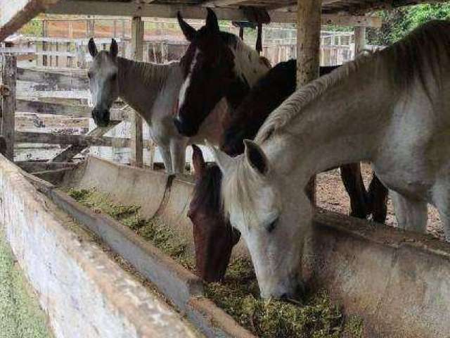 Fazenda com à venda, 60000 m² por R$ 1.490.000