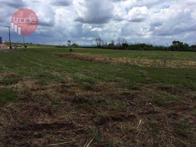 terreno de 20.067,16m² na marginal da Rodovia Abrão Assed, sentido Serrana.