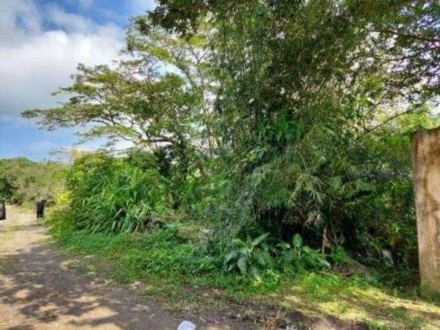 Terreno para Venda em Itanhaém, Jardim Tropical