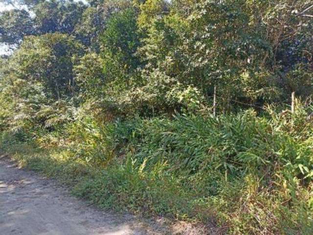 Terreno para Venda em Itanhaém, São Fernando