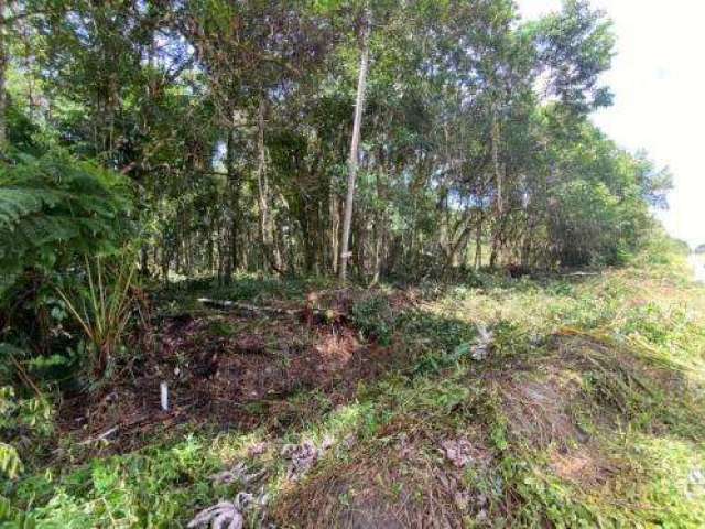 Terreno para Venda em Itanhaém, São Fernando