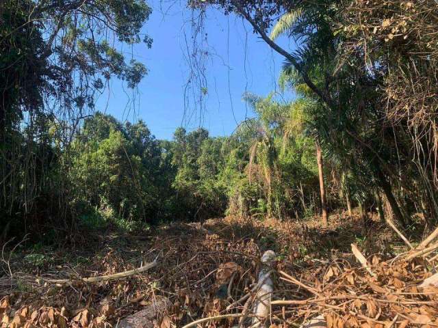 Terreno para Venda em Itanhaém, Gaivota