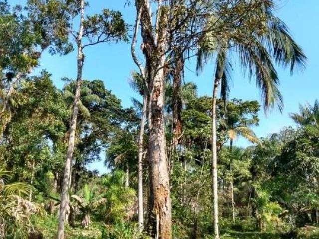 Terreno para Venda em Itanhaém, Gaivota