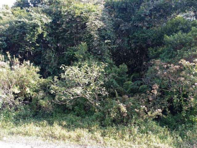 Terreno para Venda em Itanhaém, São Fernando