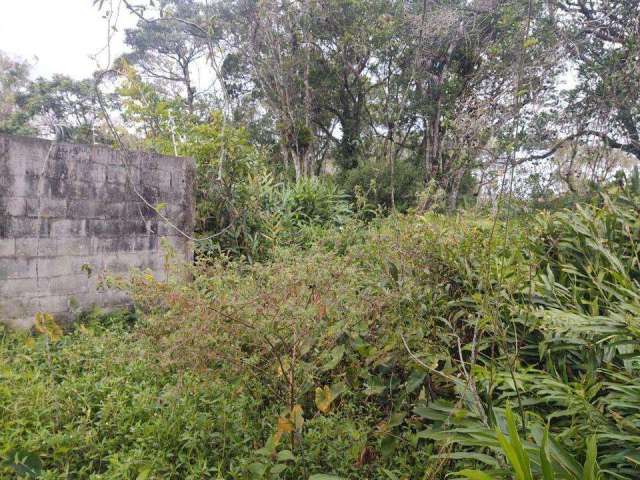 Terreno para Venda em Itanhaém, Luiza Mar Mirim