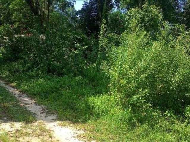 Terreno para Venda em Itanhaém, Coronel