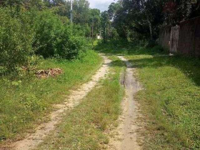 Terreno para Venda em Itanhaém, Coronel