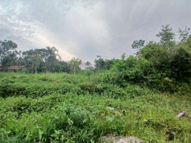 Terreno para Venda em Itanhaém, Chácaras Gloria