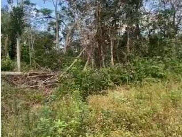 Terreno para Venda em Itanhaém, Parque Evelyn