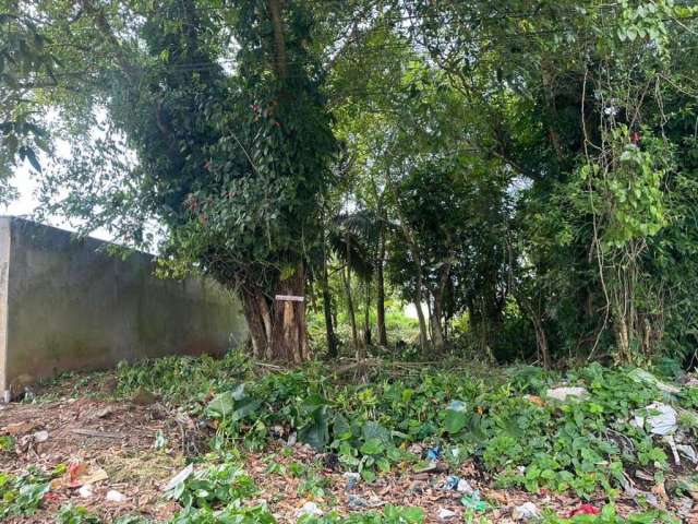 Terreno para Venda em Itanhaém, Luiza Mar Mirim