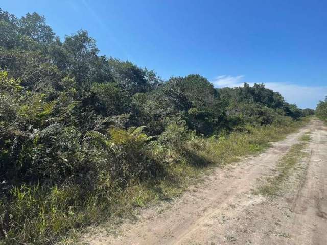 Terreno para Venda em Itanhaém, Regina