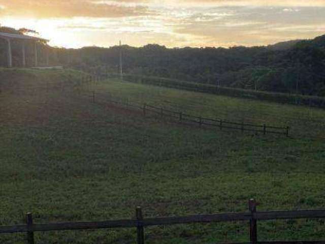 Chácara /Haras à venda, 20000 m² - Almirante Tamandaré/PR