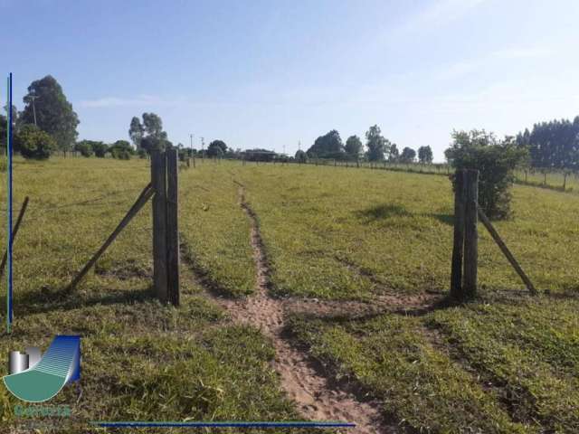 Sitio á venda, 5.32 hectares em São Simão - região Ribeirão Preto SP