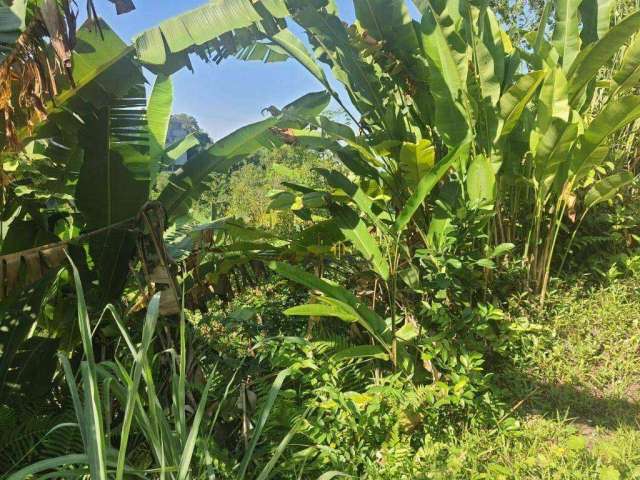 Lindo terreno no Morro Santa Therezinha perfeito para sua casa dos sonhos