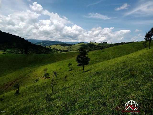 Área para Venda em Sapucaí-Mirim, Ponte Nova