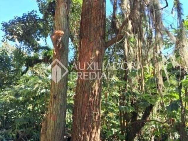 Terreno comercial à venda na Estrada Martim Afonso de Souza, 1, Balneária, São Bernardo do Campo por R$ 1.800.000