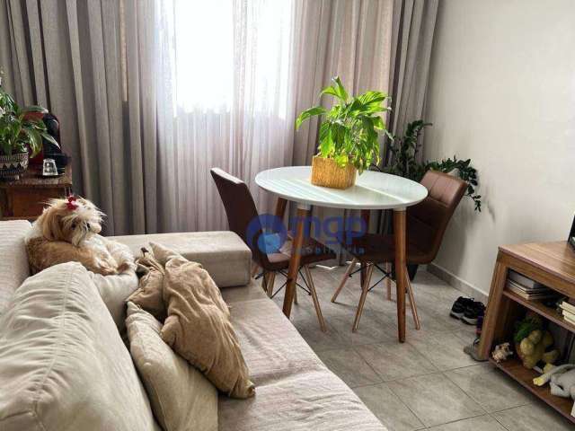 Apartamento com 1 dormitório à venda, 47 m² por R$ 340.000 - Vila Mazzei - São Paulo/SP