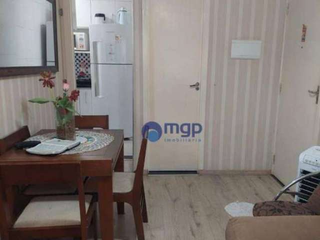 Apartamento com 2 dormitórios à venda, 116 m² - Jardim São Domingos - Guarulhos/SP